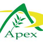 Apex herbex Profile Picture