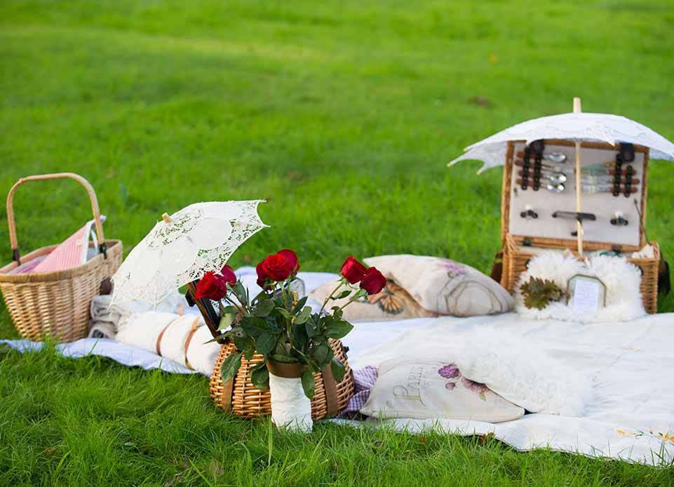 Propose in Versailles with Love Picnic Paris