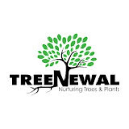 TreeNewal Certified Arborist Profile Picture