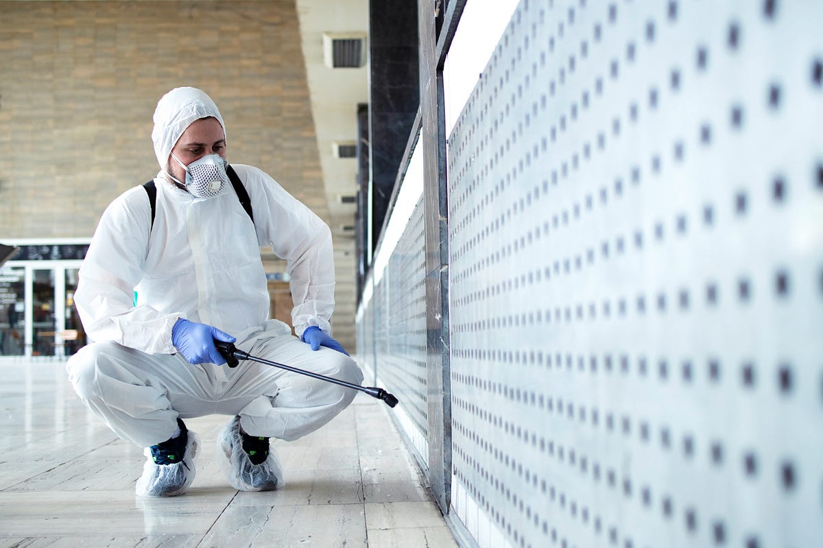 Mold Cleaning ServicesMold Cleaning Services: Ensuring a Safe and Healthy Environment | by Mold Inspections Los Angeles | Jan, 2025 | Medium