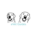 A Simple Guide to the Cystocentesis Dog Procedure and What It Does for Your Pup | by eVet Guides | Feb, 2025 | Medium