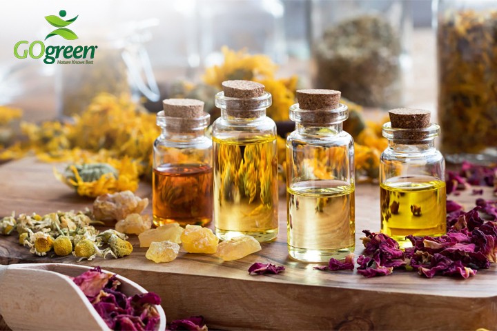 Which Types of Carrier Oils Are Best? Carrier Oils Benefits for Body - Gogreen For oils