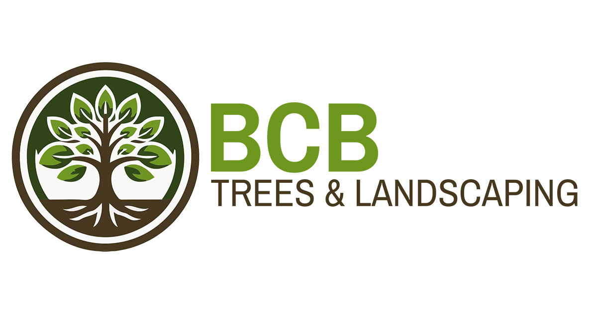 Expert Tree & Landscaping Services | Omaha Landscapes