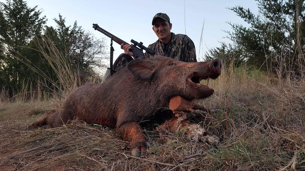 Get Ready For Your Next Big Adventure for Hog Hunting Near Austin, Tex                      – Texas Hunt Ranch