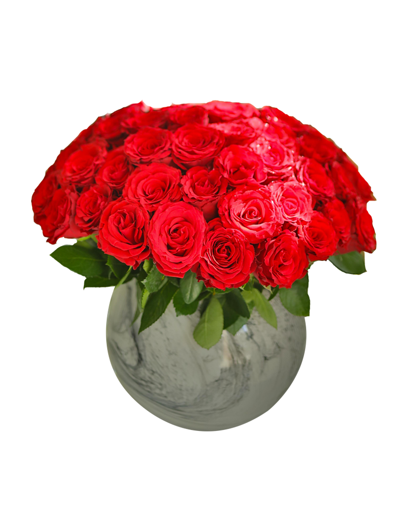 Same Day Delivery Dubai | Valentine Flower Same Day Delivery