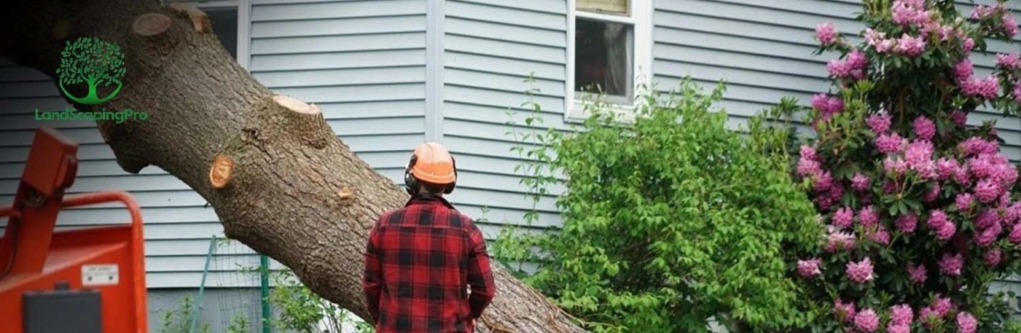 MyH20 tree removal services Cover Image