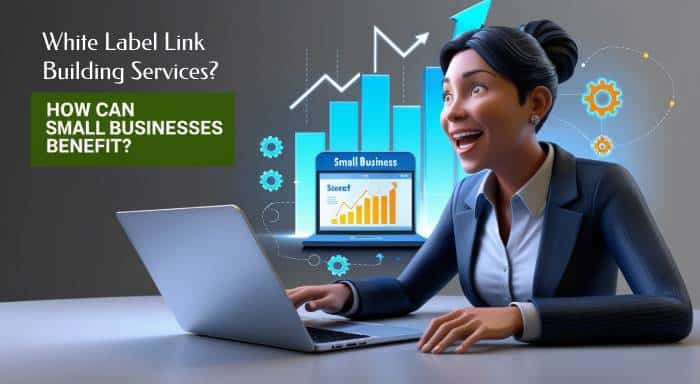 How Can Small Businesses Benefit from White Label Link Building Services?