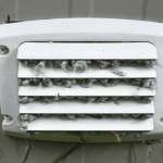 Best Local Dryer Vent Cleaning Services in Charlotte Profile Picture