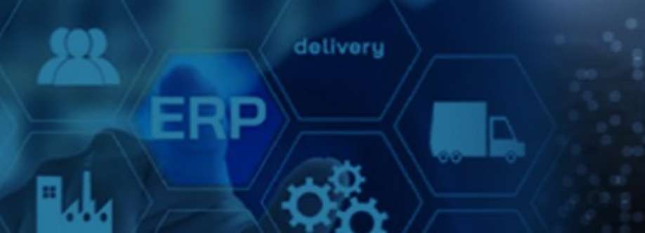 ERP Consulting Group Profile Picture