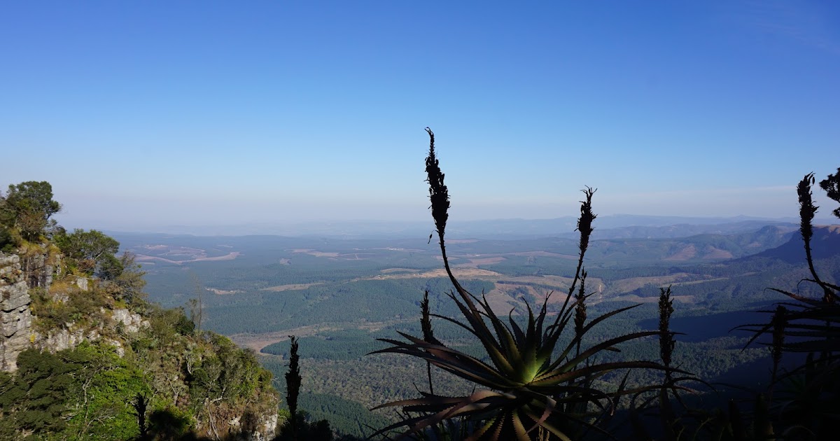The Ultimate Guide: Crafting the Best Garden Route Itinerary for an Unforgettable Journey