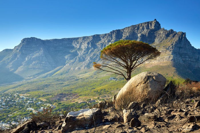 A Comprehensive Cape Town Travel Itinerary: Unveiling the Hidden Gems of South Africa's Vibrant City