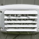 Anaheim Dryer Vent Cleaning Profile Picture