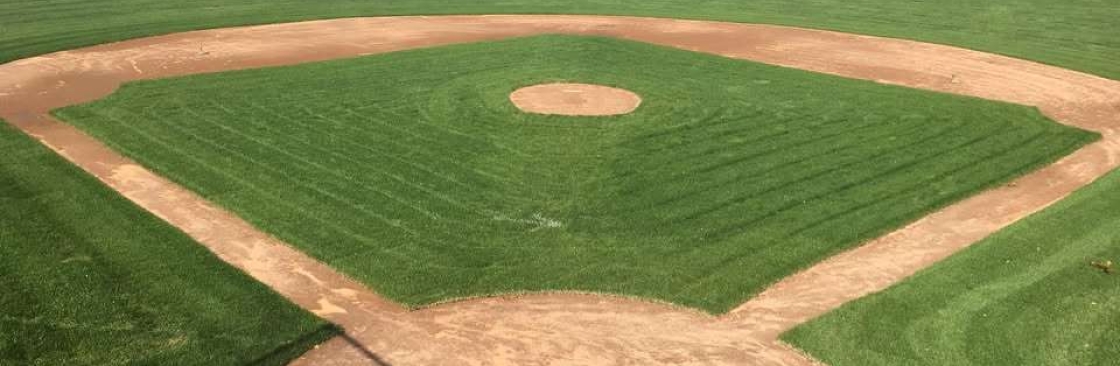 Mystic Little League Cover Image