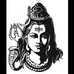 Astrologer Shiv Rudra profile picture