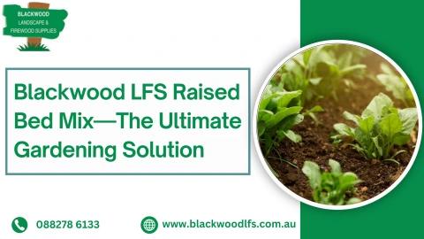 Blackwood LFS Raised Bed Mix—The Ultimate Gardening Solution