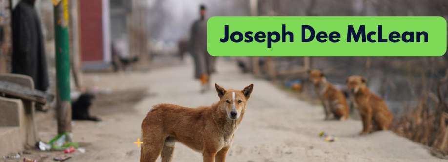 Joseph Dee McLean McLean Cover Image