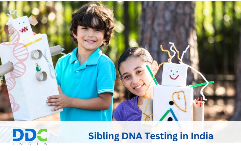 Understanding Sibling DNA Testing: A Guide to Confirming Family Connections – DDC Laboratories India