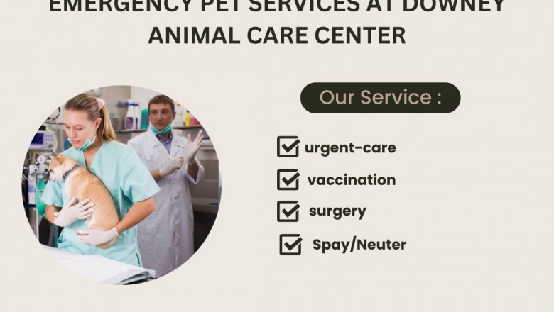 Emergency Pet Care at Downey Animal Care Center CA: What You Need to Know