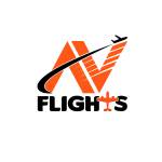 AV Flights profile picture