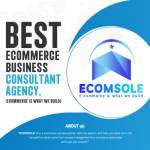 ecomsole agency Profile Picture