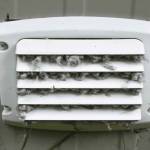 Brooklyn Dryer Vent Cleaning Services Profile Picture