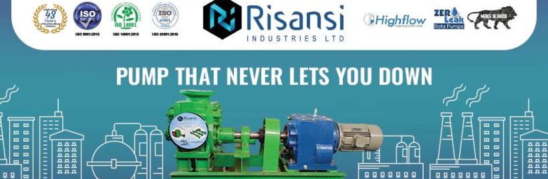 Risansi Industries Ltd Cover Image