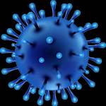 Covid Pills Profile Picture