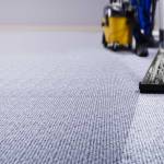 Houston Carpet Cleaning Profile Picture