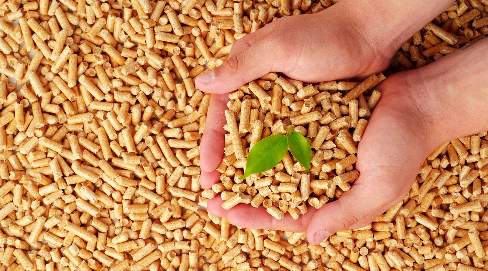 Biomass vs Fossil Fuels: Advantages & Future Opportunities