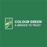 Colour Green Profile Picture