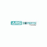 AMS Experts IT Consulting Profile Picture