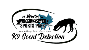 Odoo Partners in Pakistan; What it Offers and The Red Flags Not to Miss - All Dogs Sports Park, LLC