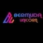 Bermuda Unicorn profile picture