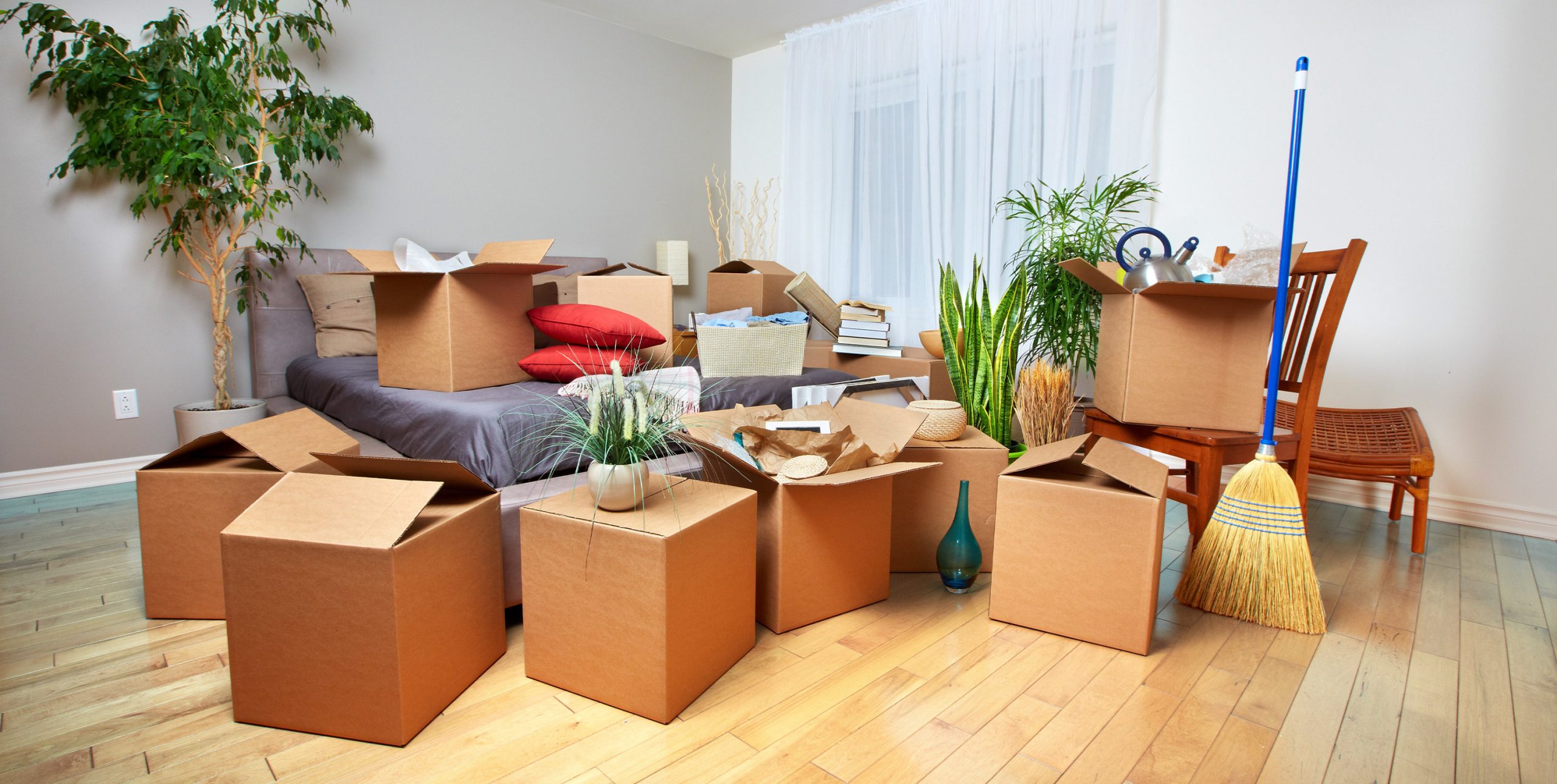 Expert Removals in London A Stress-Free Solution for Your Moving Needs - Blogs - The SMS City