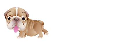 Are Dog Bones Good for Your Pet’s Health? – The Dogington Post - Pets Like You