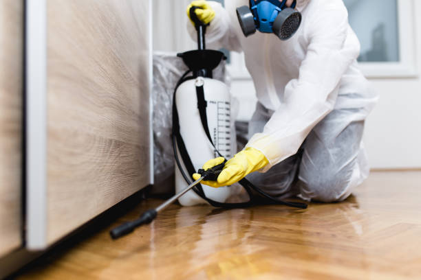 What Happens If You Ignore a Pest Infestation?