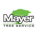 Mayer Tree Service Profile Picture
