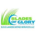 Blades of Glory Landscaping Services LLC Profile Picture