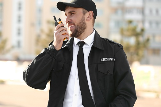 Event Security in California -