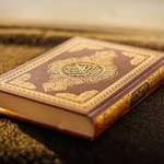 abu islam Profile Picture