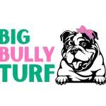 Big Bully Turf Profile Picture
