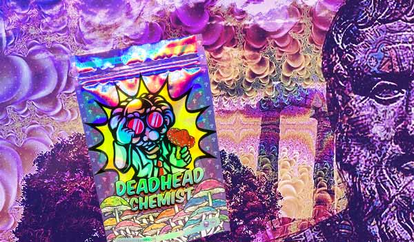 Entire Store 20% Off Promocode: DEADHEADCHEMIST20