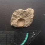 Miriam Myers Profile Picture