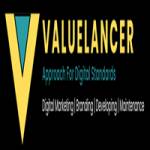 Value lancer Profile Picture