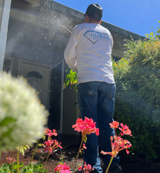 Residential Interior Painting - Diamond Painting