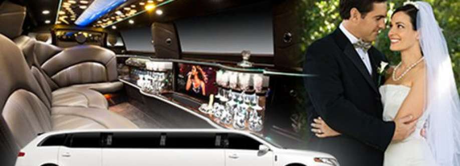 All American Limousine Cover Image
