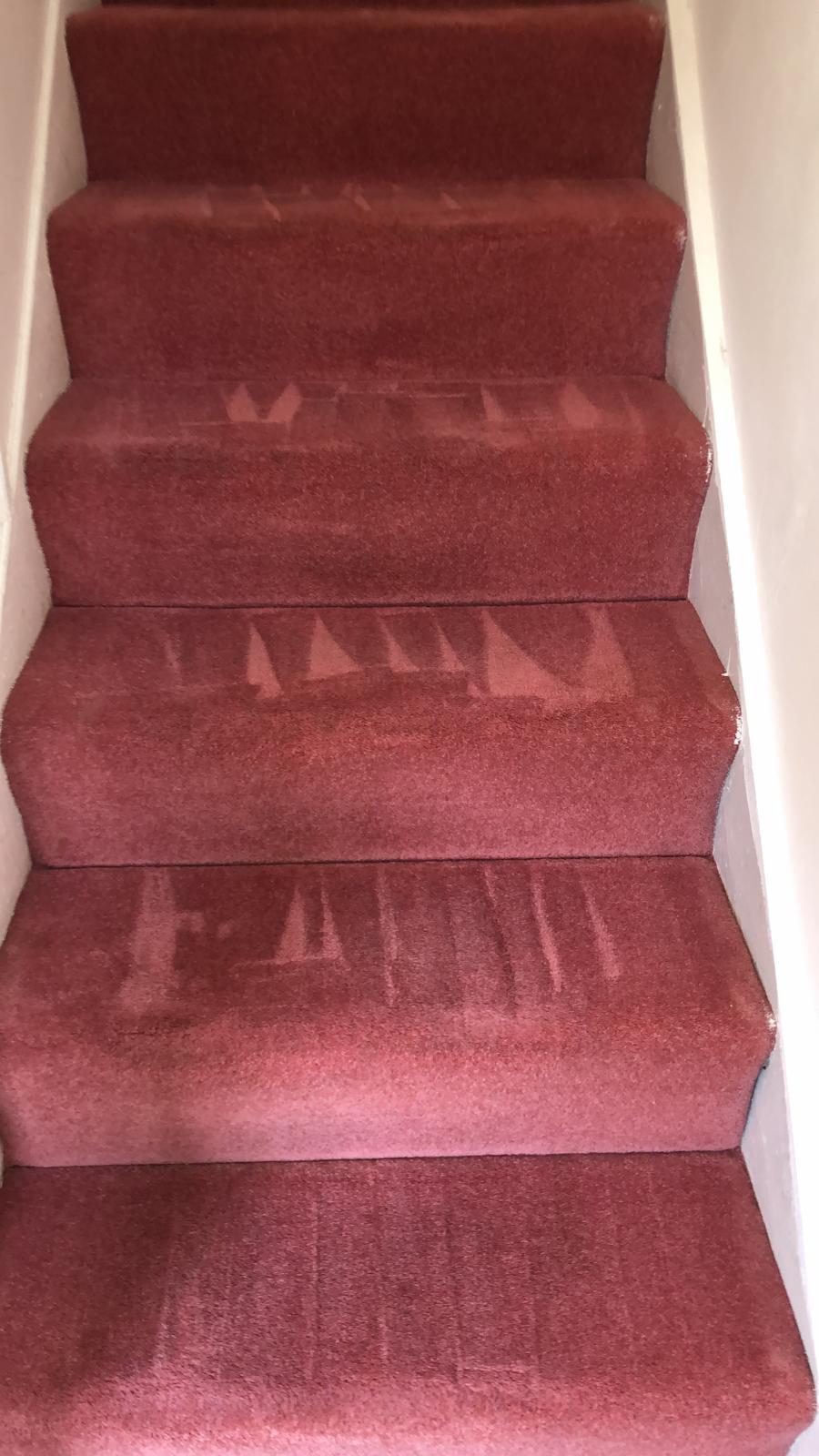 Carpet Cleaning Dublin 10 | Affordable Carpet Cleaning Services