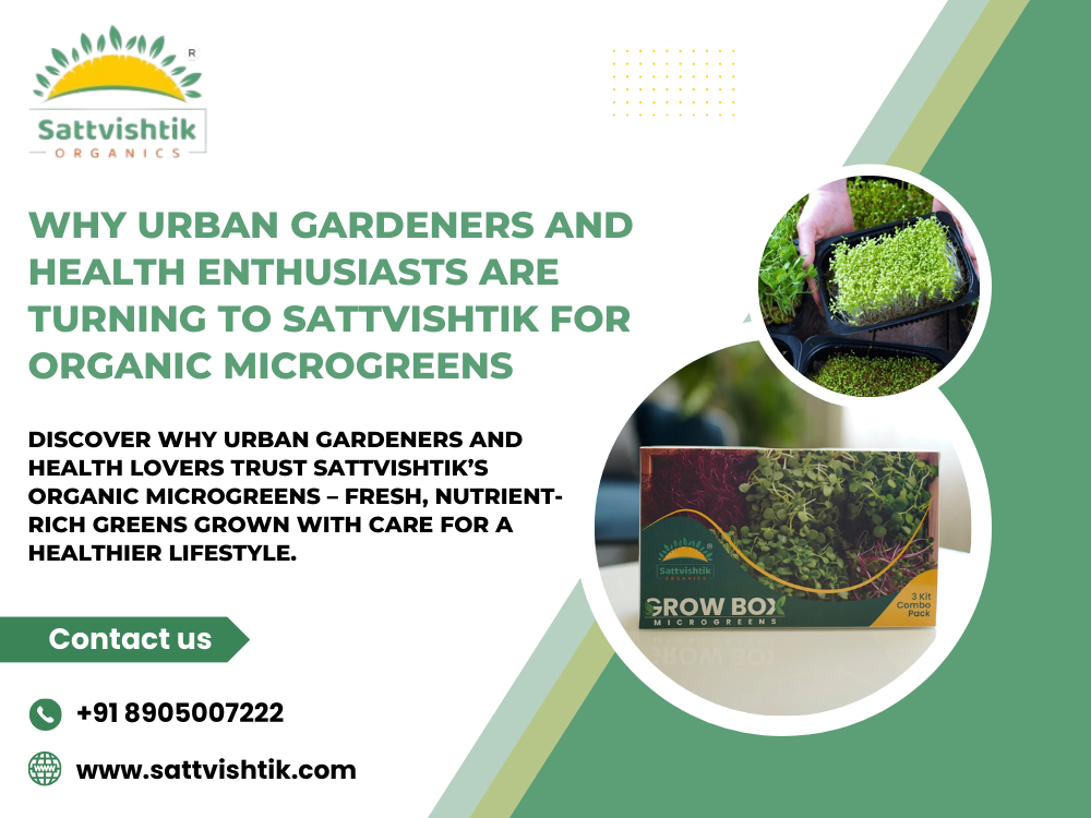 Why Urban Gardeners and Health Enthusiasts Are Turning to Sattvishtik for Organic Microgreens | by Sattvishtik Wellness Farms Private Limited | May, 2025 | Medium