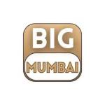 Big Mumbai Games Profile Picture