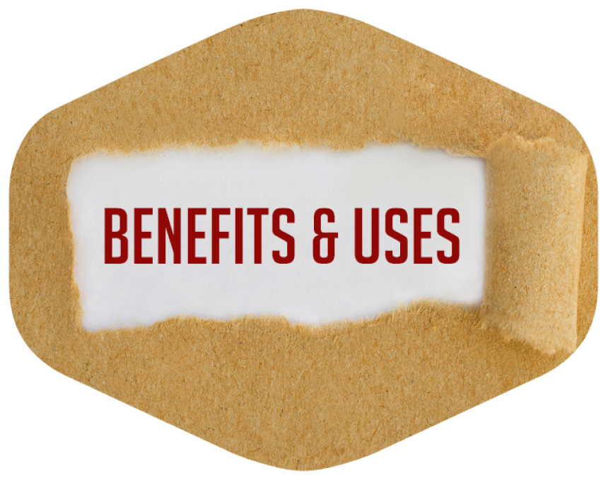 Blogs - Bang Box online - Transforming Commercial Spaces: The Impact of Wall Murals for Elkton Businesses